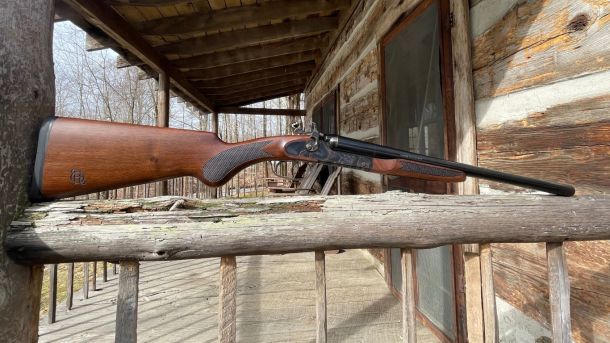 Heritage Coachwhip: A Wish Fulfilled or A Fun Piece of History